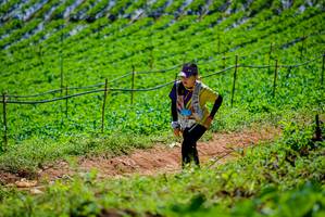 BIB: 
                            <button type="button" onclick="openModal(19164583)" class="btn btn-primary btn-sm float-right btn-popup" data-toggle="modal" data-target=".modal-high-quality">
                        <i class="fas fa-shopping-cart"></i> Add to Cart
                    </button>
                                            <button type="button" onclick="isThisMe(19164583, true)" class="btn btn-success btn-sm float-right btn-popup btn-isme hidden" data-toggle="tooltip" data-placement="bottom" title="นี่คือรูปของคุณใช่ไหม คลิกที่นี่เพื่อเอาเข้าอัลบั้ม">
                        <i class="fas fa-plus"></i> Add to album
                    </button>
                    <button type="button" onclick="isThisMe(19164583, false)" class="btn btn-warning btn-sm float-right btn-popup btn-isnotme hidden">
                        <i class="fas fa-ban"></i> Remove from album
                    </button>